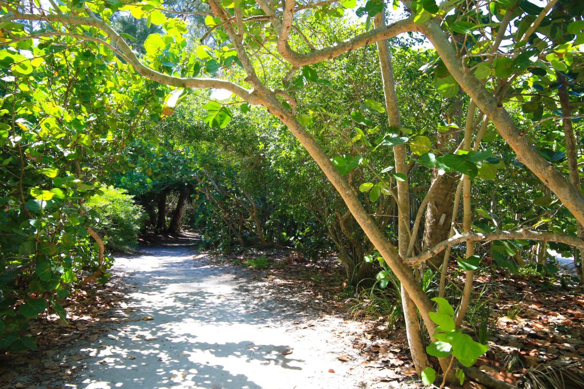 Anna Maria Island Runaway Tropical Dream-One Minute Walk To The Beach-Heated Pool Bradenton Beach Exterior foto